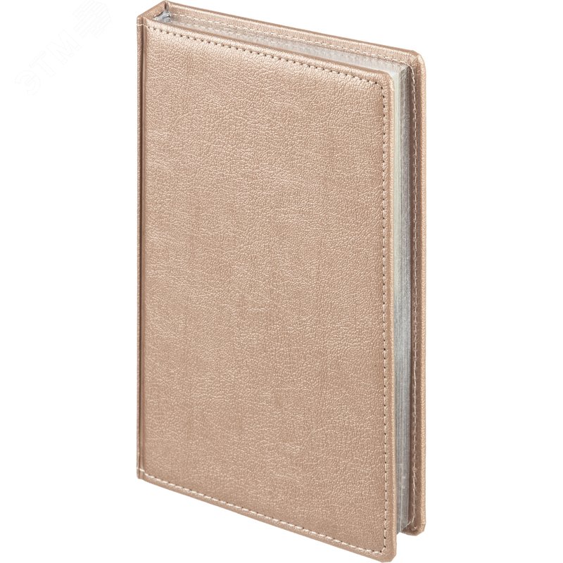 Изображение товара Ежедневник недатированный Attache Selection Metal искусственная кожа А5 160 листов пудровый (серебристый обрез) (шт)