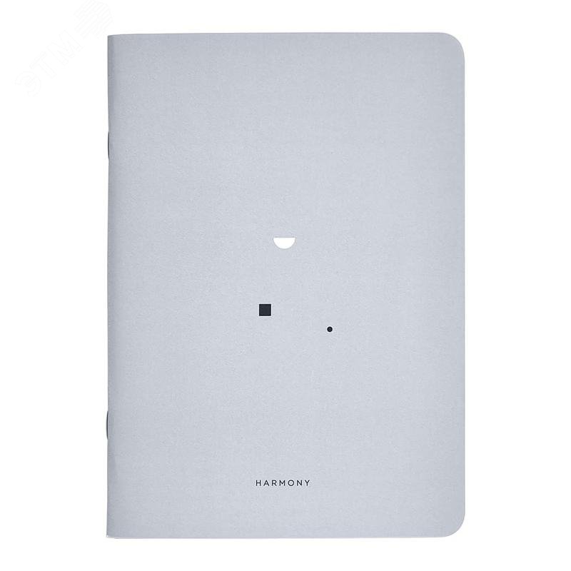 Изображение товара Бизнес-тетрадь Be Smart Minimalism A5 40 листов серая в клетку на скрепке (150x210 мм) (шт)