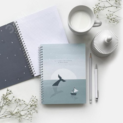 Изображение товара Тетрадь общая Be Smart Soul А5 120 листов в клетку на спирали (обложка с рисунком, матовая ламинация) (шт)