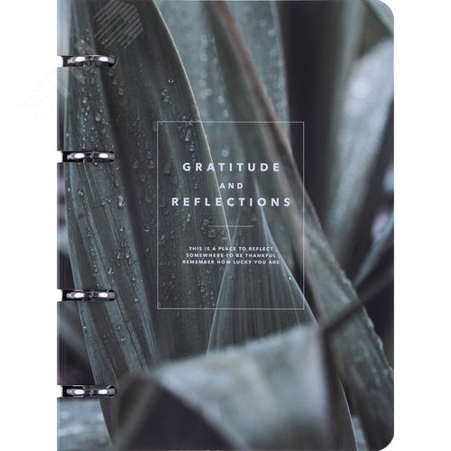 Изображение товара Тетрадь на кольцах со сменным блоком Be Smart Botanica А5 80 листов с рисунком в клетку с перфорацией, матовая ламинация (шт)