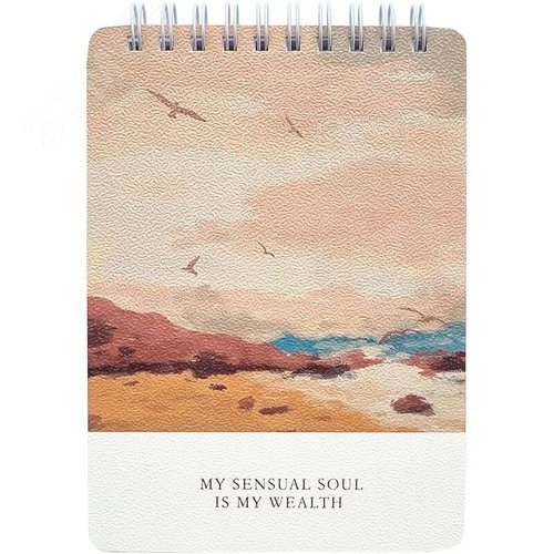 Изображение товара Блокнот Be Smart View А6 100 листов в клетку на спирали (102х142 мм) (шт)