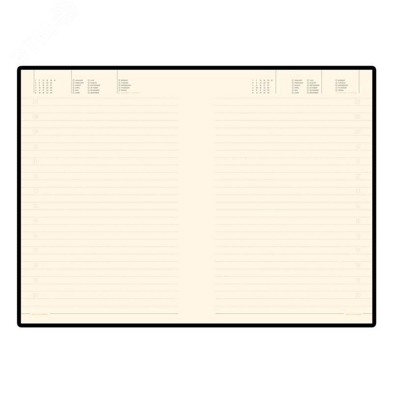 Изображение товара Ежедневник недатированный Bruno Visconti Trend искусственная кожа A5 136 листов зеленый (шт)