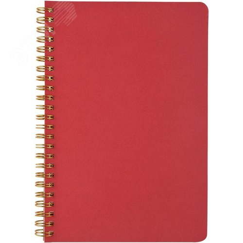 Изображение товара Бизнес-тетрадь Bruno Visconti Pragmatic A5 60 листов красная в клетку на спирали (138x210 мм) (шт)