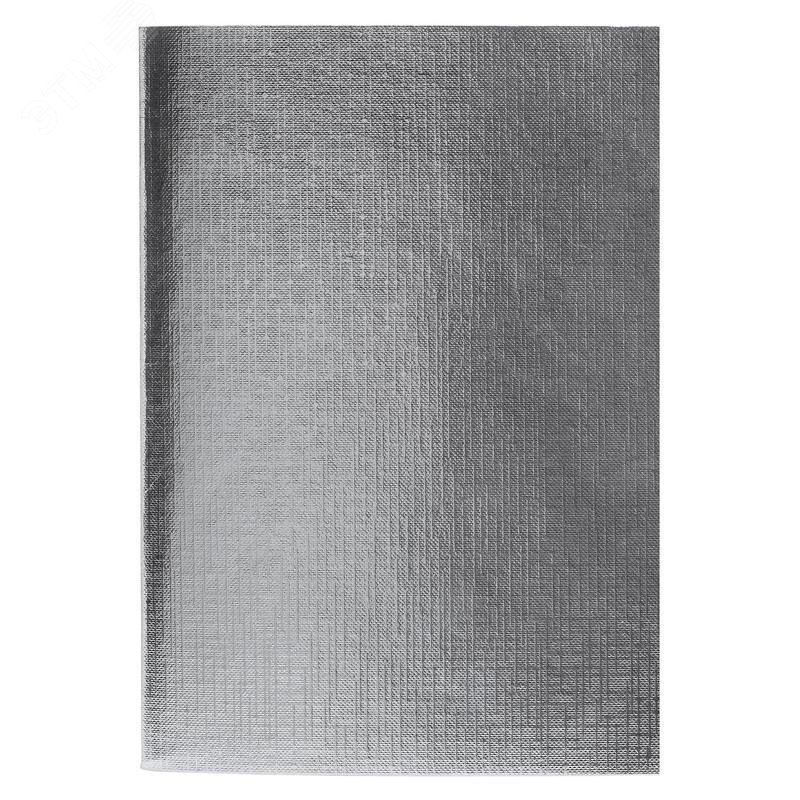 Изображение товара Бизнес-тетрадь Hatber Metallic A4 48 листов серебристая в клетку на скрепках (210x297 мм) (шт)