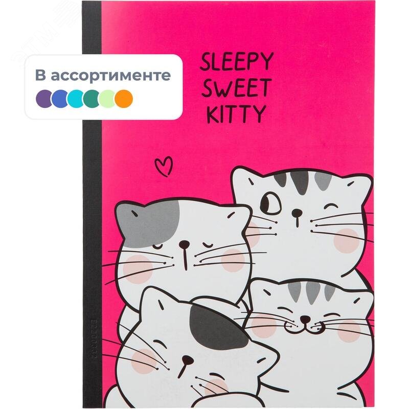 Изображение товара Тетрадь общая M&G So Many Cats B5 60 листов в клетку на склейке (шт)