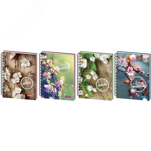 Изображение товара Бизнес-тетрадь Mariner Spring А5 120 листов в ассортименте в клетку на спирали 1 разделитель (148х205 мм) (шт)