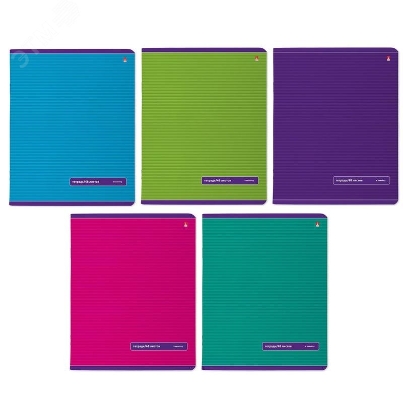 Изображение товара Тетрадь общая Bruno Visconti Классика А5 48 листов в линейку на скрепке (, Soft Touch, 10 штук в упаковке) (упак)