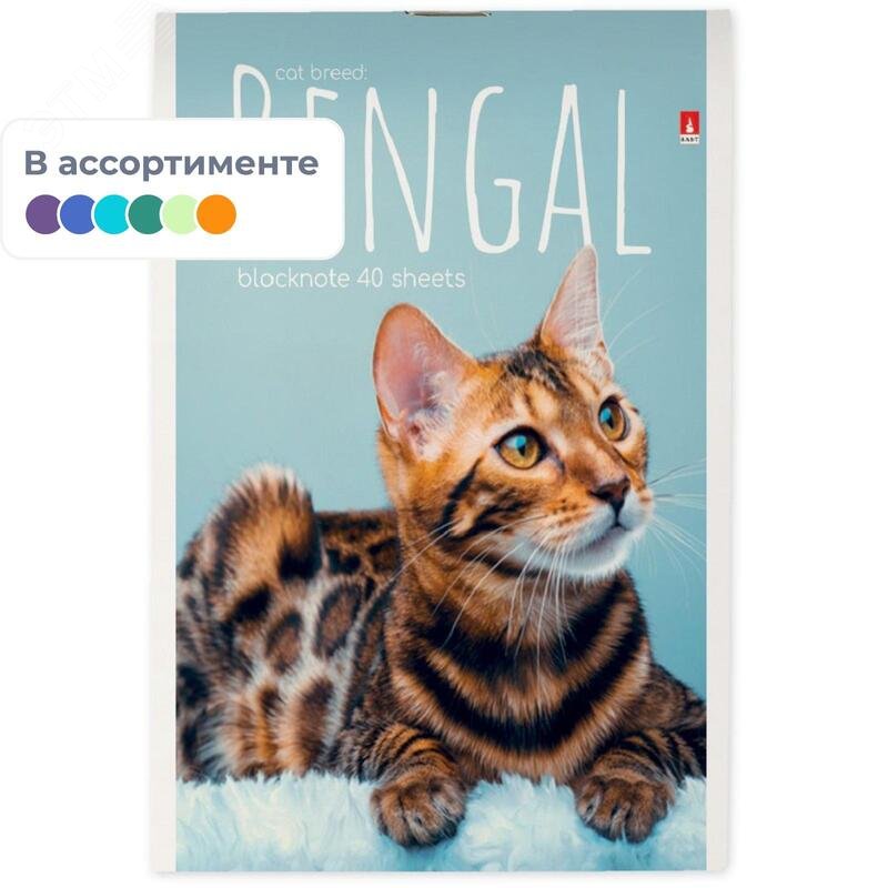 Изображение товара Блокнот Альт Котята А6 40 листов в клетку на скрепке (94х130 мм) (шт)