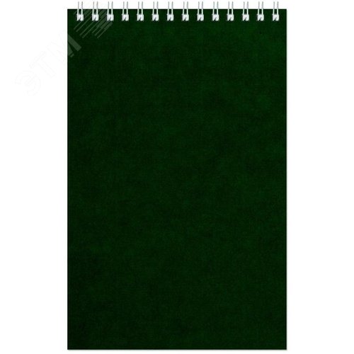 Изображение товара Блокнот Альт Офис 1 A5 60 листов зеленый в клетку на спирали (127х203 мм) (шт)