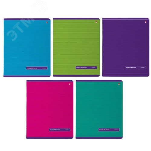 Изображение товара Тетрадь общая Bruno Visconti Классика А5 48 листов в линейку на скрепке (, Soft Touch, 10 штук в упаковке) (упак)