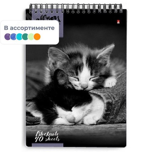 Изображение товара Блокнот Альт Кошки А5 40 листов в клетку на спирали (130x200 мм) (шт)