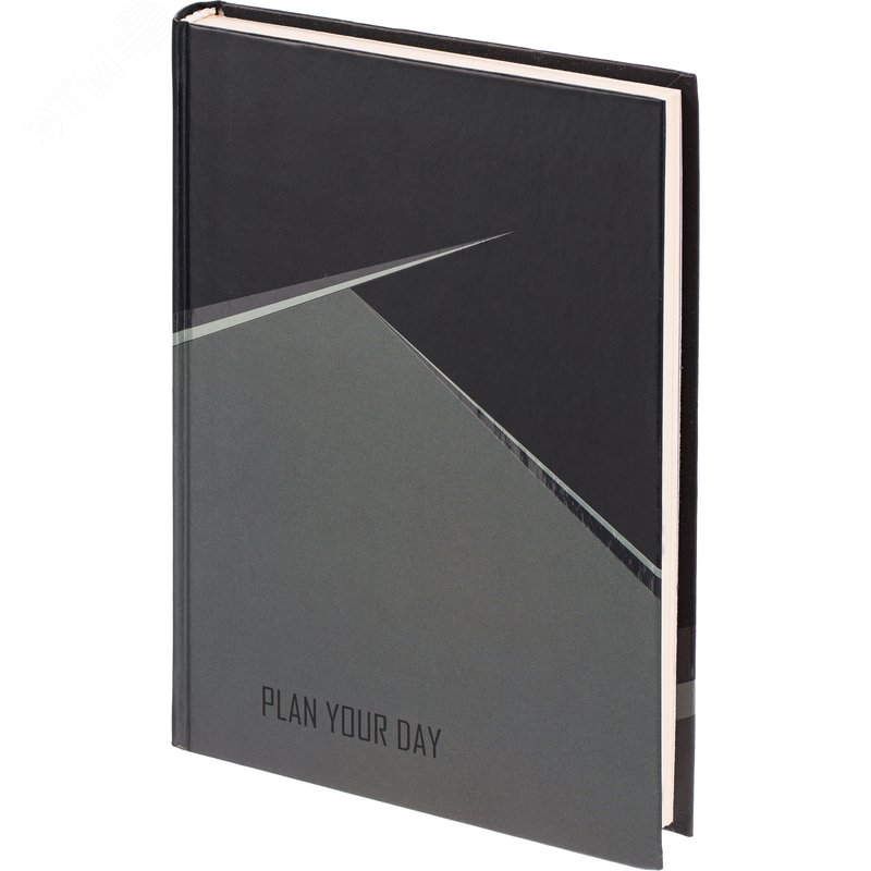 Изображение товара Ежедневник датированный 2025 год Выбор есть 7БЦ А5 176 листов чёрный (шт)