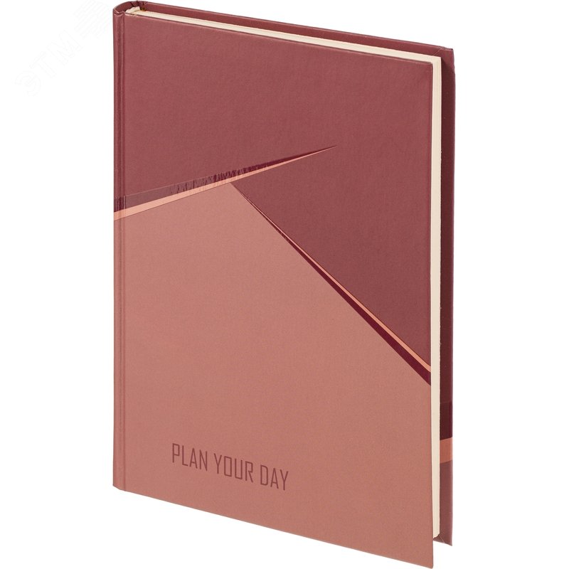 Изображение товара Ежедневник датированный 2025 год Выбор есть 7БЦ А5 176 листов бордовый (шт)