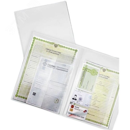 Изображение товара Папка файловая для семейных документов на 11 файлов (вкладышей) Выбор есть А4 5 мм прозрачная (шт)