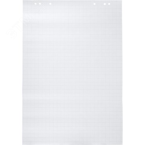 Изображение товара Бумага для флипчартов Выбор есть 67.5х98 см белая 20 листов в клетку, белизна 92%, плотность 80 г/кв.м (шт)