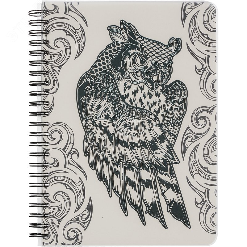 Изображение товара Тетрадь общая №1 School Сова A5 96 листов в клетку на спирали