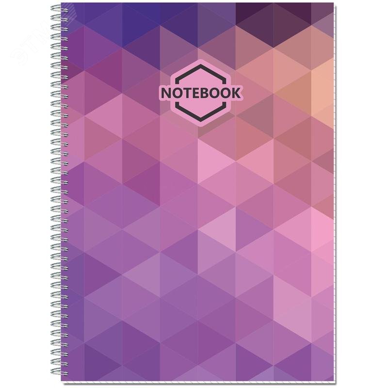 Изображение товара Бизнес-тетрадь Полином Яркий офис A4 120 листов разноразноцветная в клетку на спирали (203х290 мм) (шт)