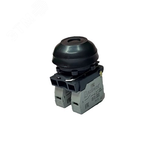 Изображение товара Выключатель КЕ 081/2м черный 1но+1нз Цилиндр с наружным протектором IP66 УХЛ2 10А (шт)