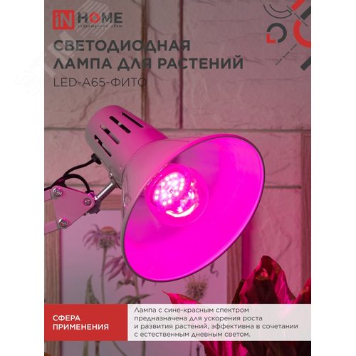 Лампа светодиодная LEDA65ФИТО 25Вт 230В Е27 - фото 2