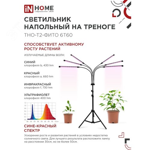 Светильник напольный на треноге светодиодный Т НА-Т2-ФИТЕ 6Т60 60Вт 6 плафонов, пульт на шнуре черный IN HOME - фото 4