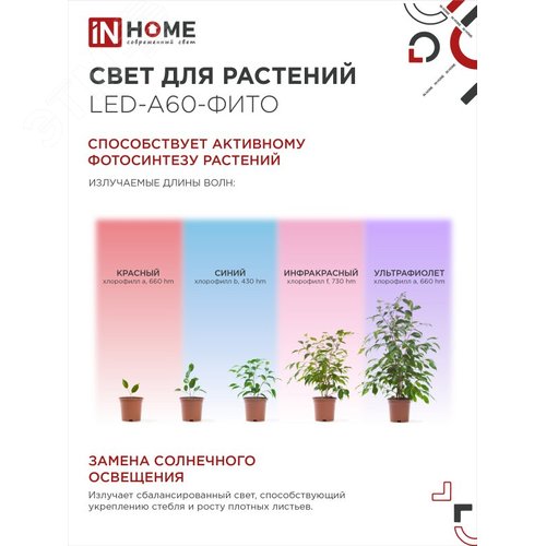 Лампа светодиодная LEDA60ФИТО 15Вт 230В Е27 - фото 3