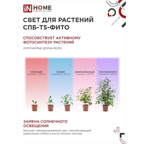 Светильник светодиодный СПБ-Т5-ФИТО сине-красный спектр 15 Вт 870 мм IN HOME - фото 3