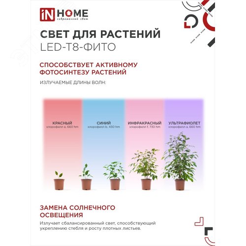 Лампа светодиодная LED-T8-ФИТО 20Вт 230В G13 1200мм IN HOME - фото 3