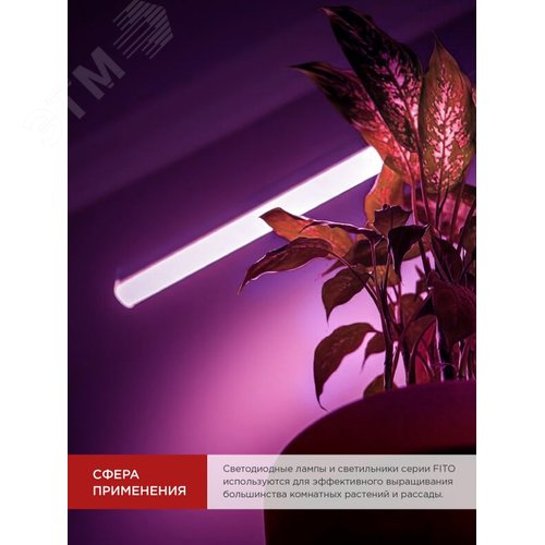 Лампа светодиодная LED-T8-ФИТО 10Вт 230В G13 600мм IN HOME - фото 5