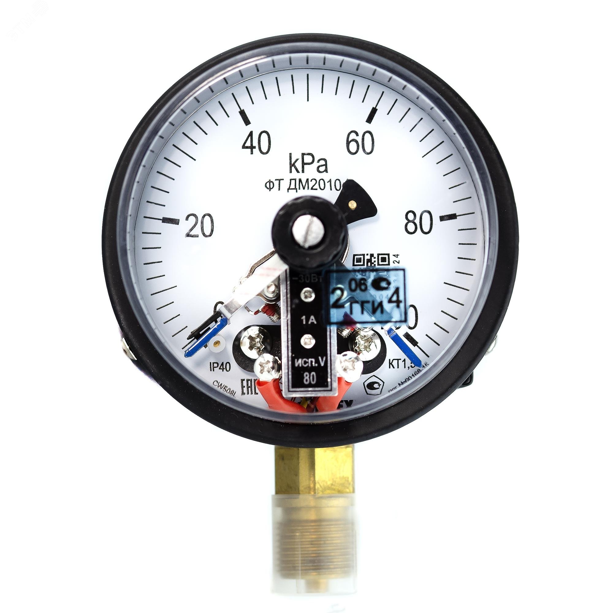 Изображение товара Манометр электроконтактный ДМ2010ф 0-100 кПа