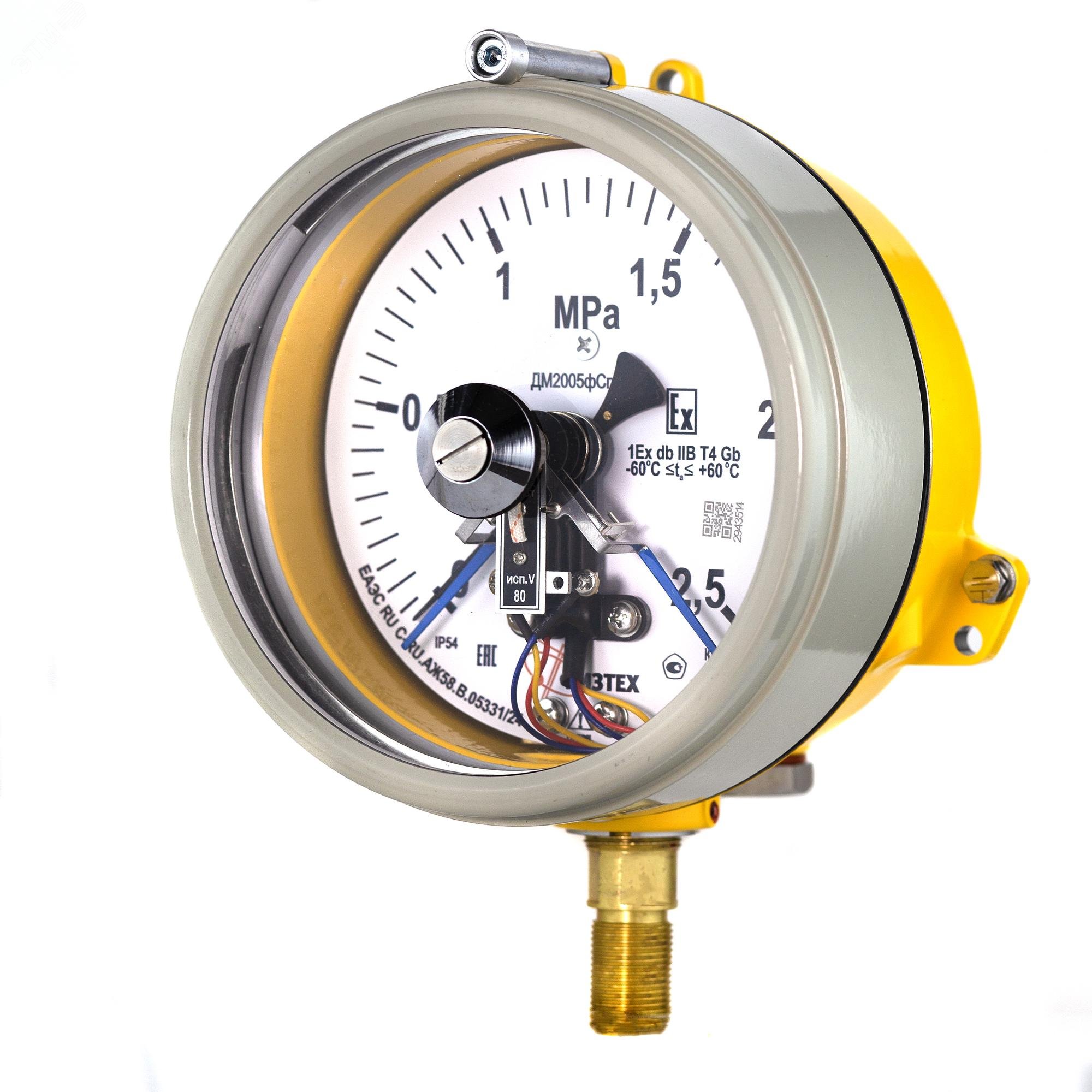 Изображение товара Манометр электроконтактный взрывозащищенный ДМ2005ф Сг 1Exd 25 бар 160 мм