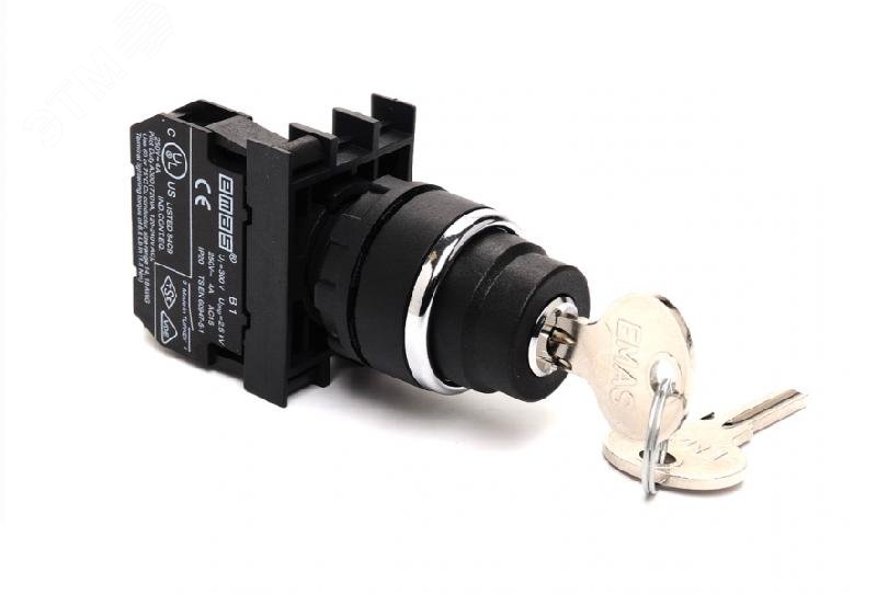 Изображение товара Кнопка с ключом с фиксацией и IP50 250 В 4 А серия B