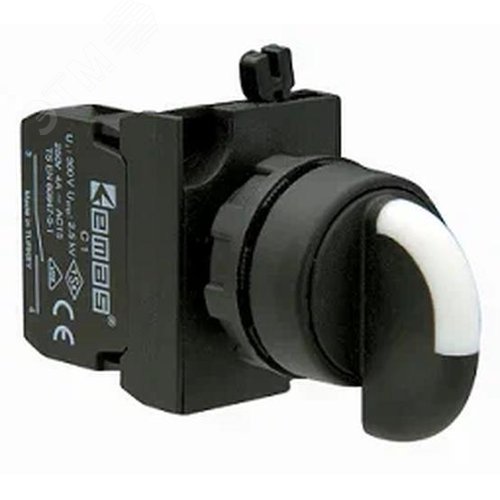 Изображение товара Переключатель 0-1 (1НО), с фиксацией, серия CP (250В AC, 4А), IP65 (шт)