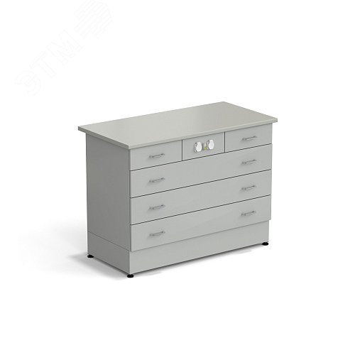 Изображение товара Стол-тумба лабораторная ЭКРОС 1200х600х900 мм 2 ящика + 3 ящика с электрикой, раб. поверхность - ЛАМИНАТ СЕРЫЙ (ЛС,СМ) (шт)