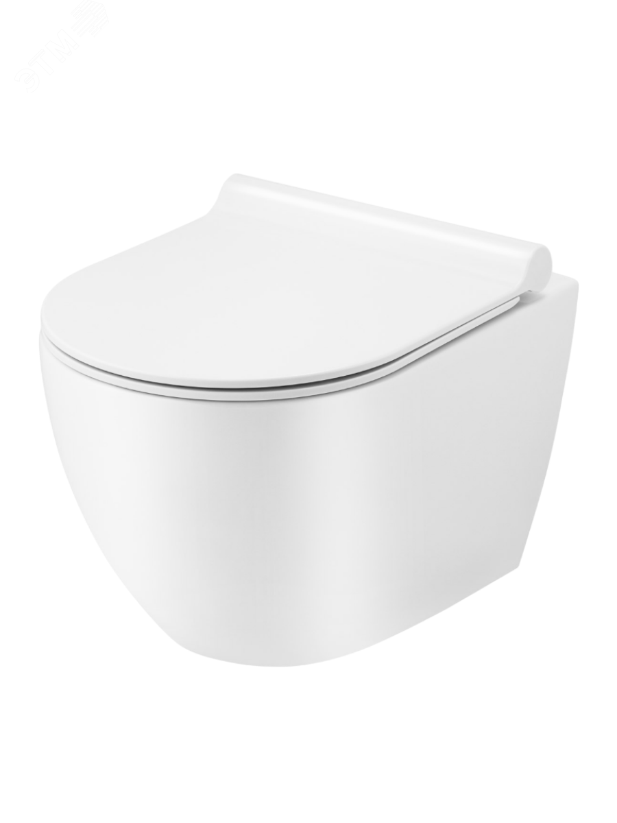 Изображение товара Подвесной унитаз Ted Kevo TK-2196 безободковый с микролифтом высокое качество