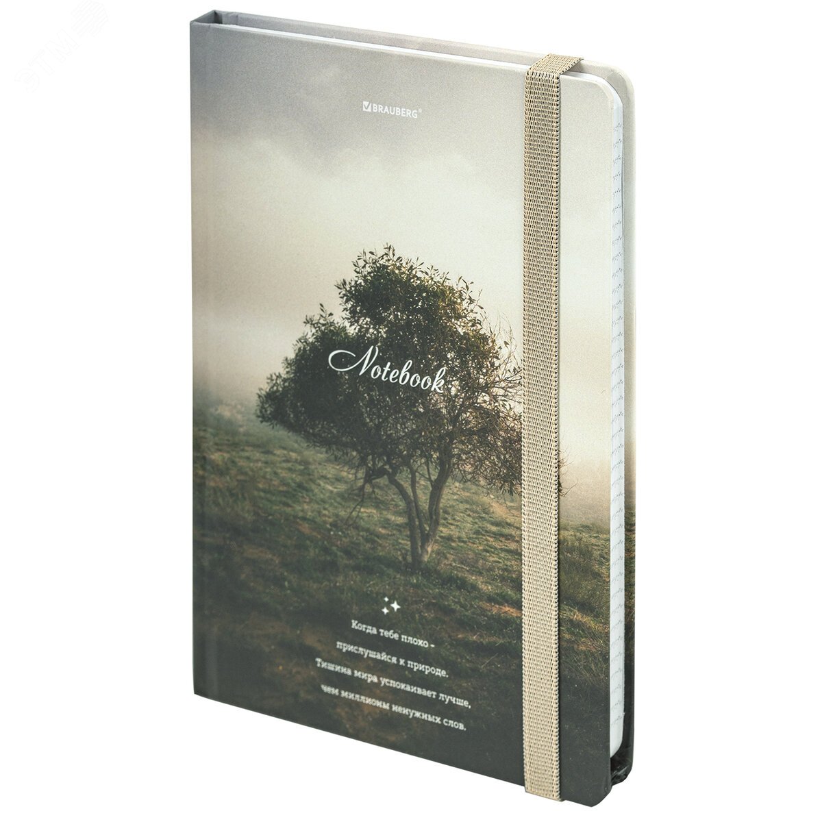 Изображение товара Блокнот с резинкой в клетку 96л А5 Nature твердая обложка