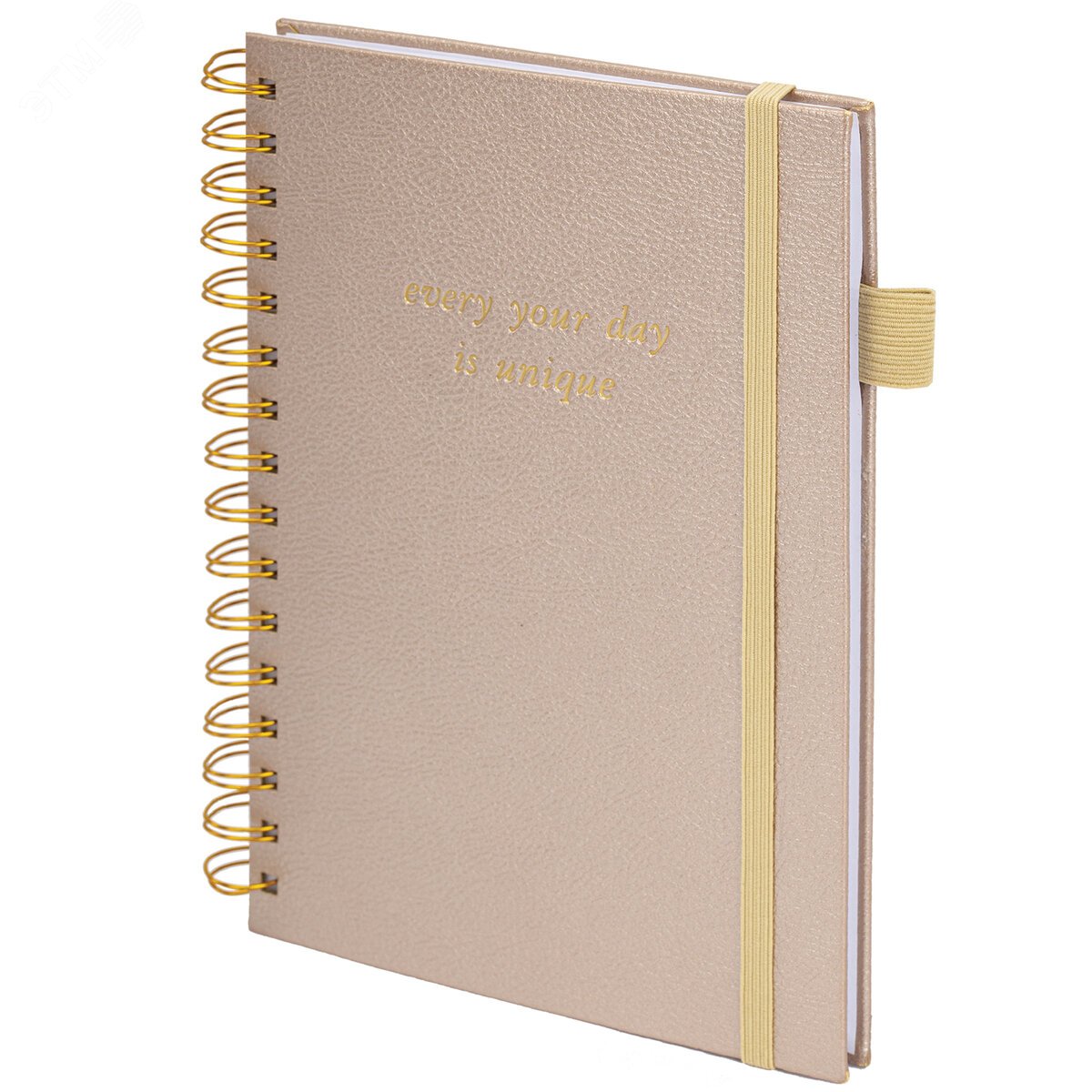 Изображение товара Бизнес-тетрадь на гребне А5 148 х 216 мм Calipso под кожу, резинка, клетка, 80л, бежевая (шт)