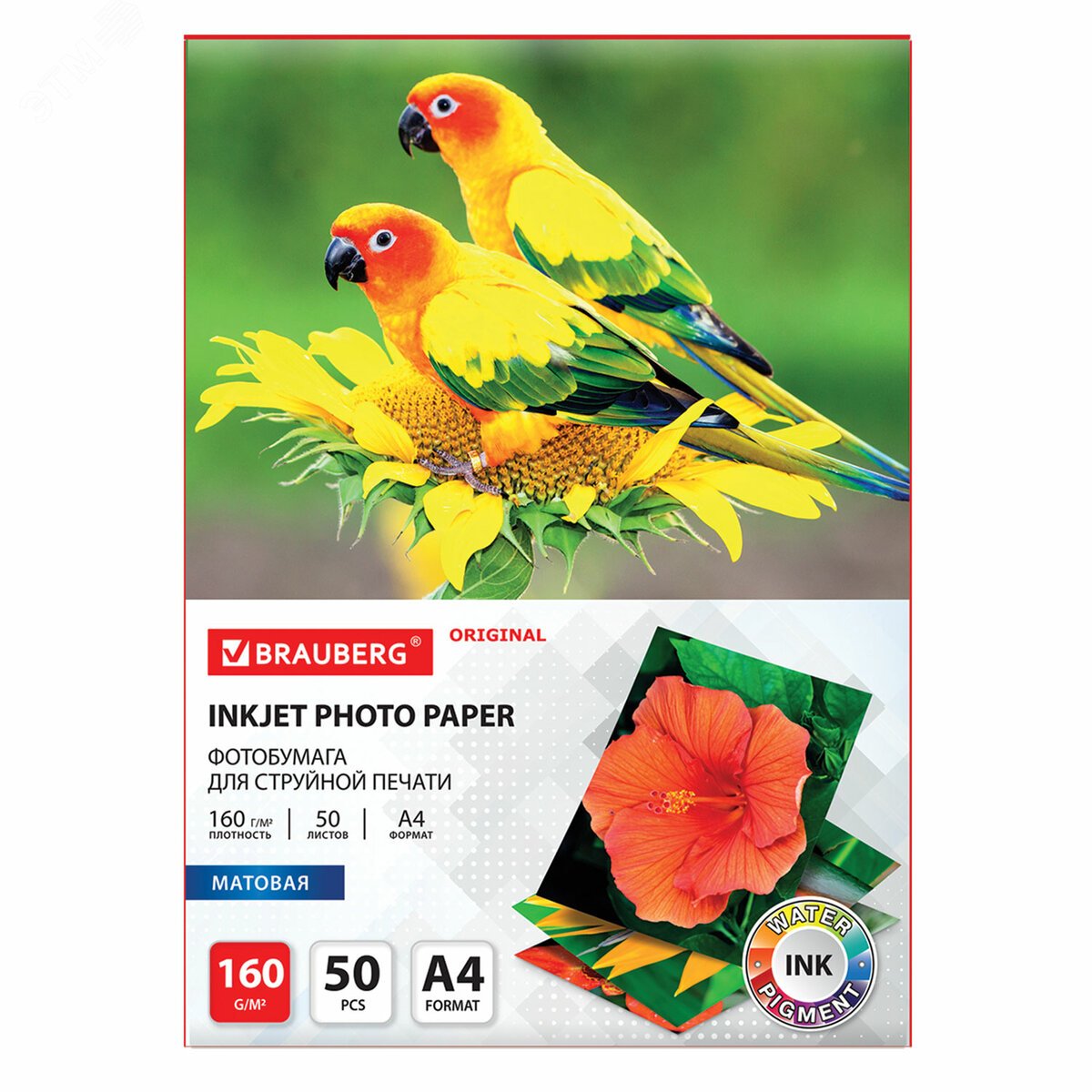 Изображение товара Фотобумага матовая, А4, 160 г/м2, односторонняя, 50 листов, BRAUBERG ORIGINAL, 363985 (шт)