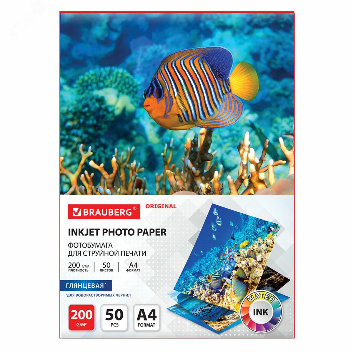 Изображение товара Фотобумага глянцевая, А4, 200 г/м2, односторонняя, 50 листов, BRAUBERG ORIGINAL, 363988 (шт)