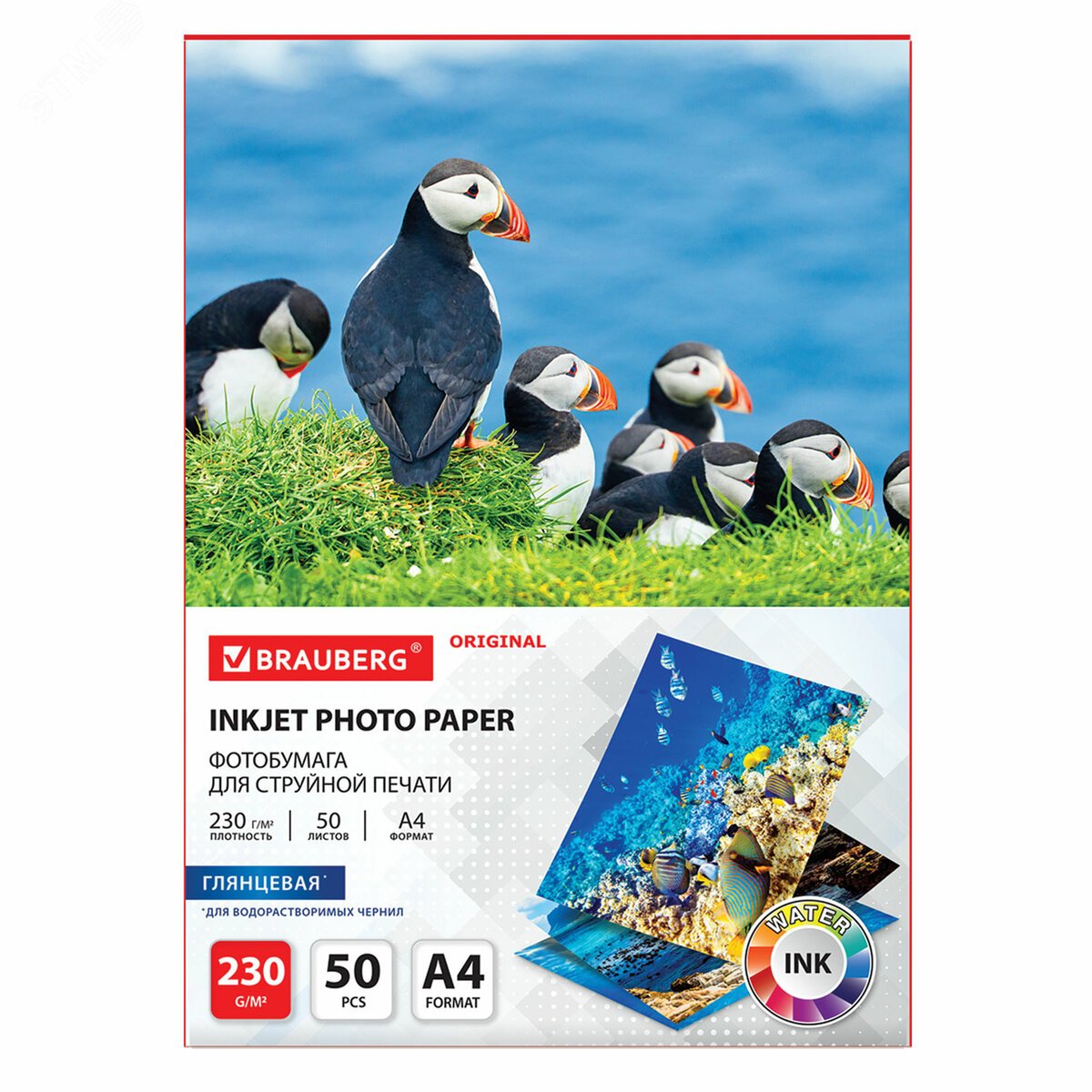 Изображение товара Глянцевая фотобумага BRAUBERG A4 230 г/м2 50 листов