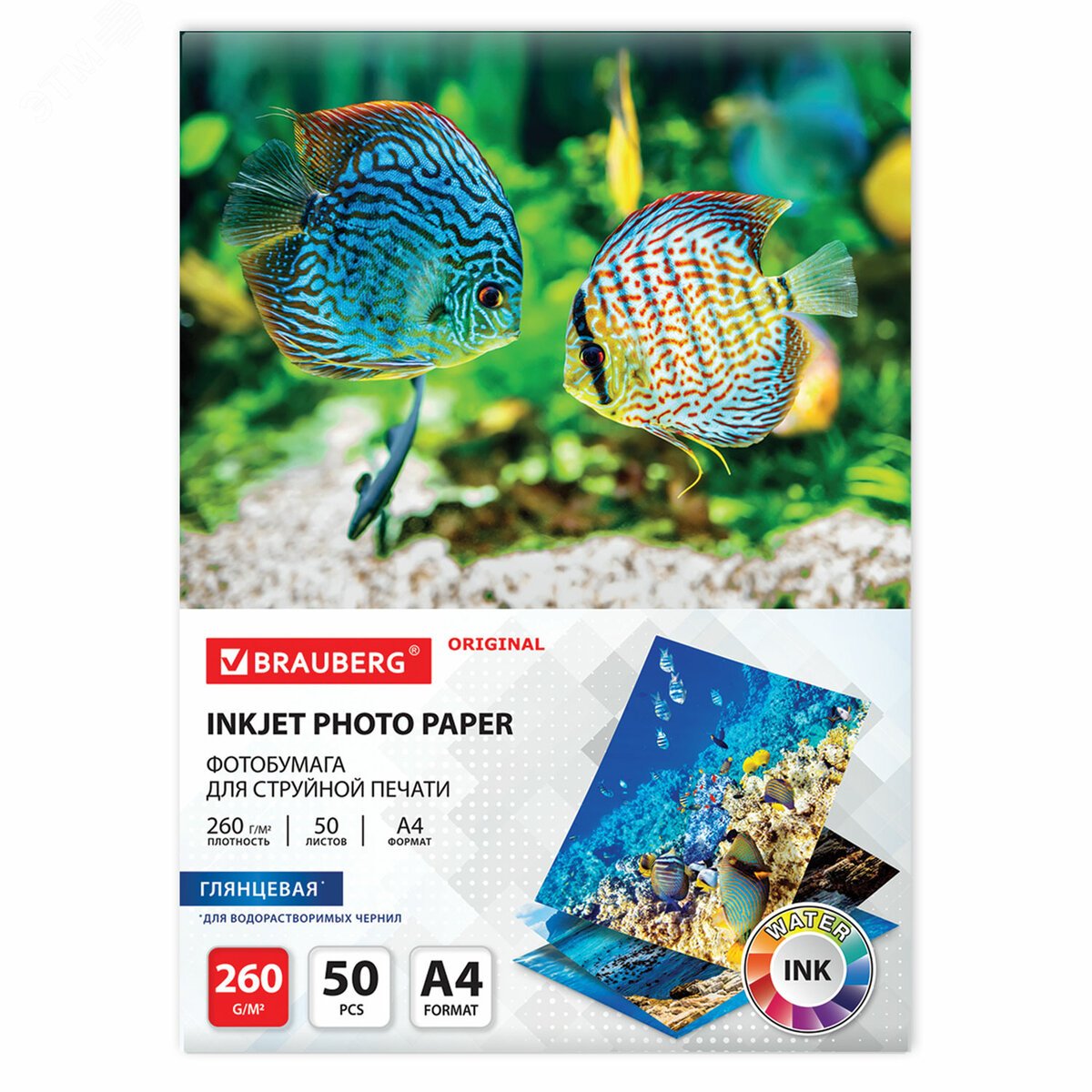 Изображение товара Фотобумага глянцевая, А4, 260 г/м2, односторонняя, 50 листов, BRAUBERG ORIGINAL, 363992 (шт)