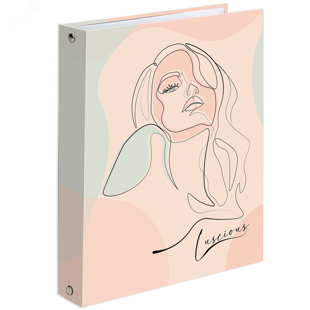 Изображение товара Тетрадь на кольцах А5 175х215мм, 120л, твердый картон, клетка, BRAUBERG, Девушка, 404076 (шт)