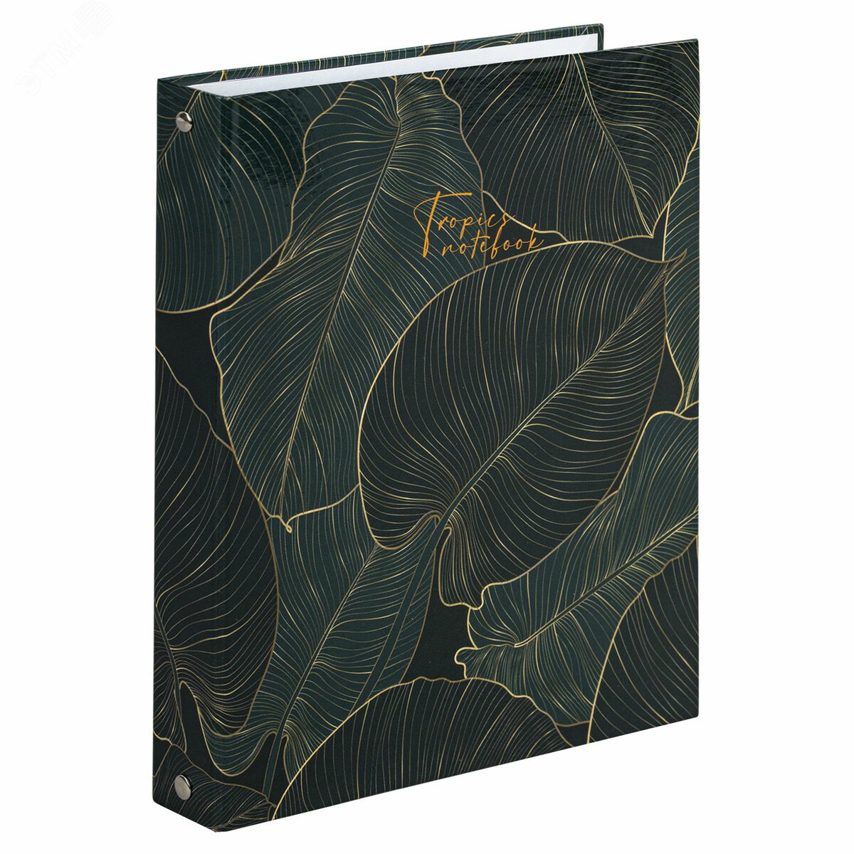 Изображение товара Тетрадь на кольцах А5 175х215мм, 240л, твердый картон, с разделителями, BRAUBERG, Листья, 404099 (шт)