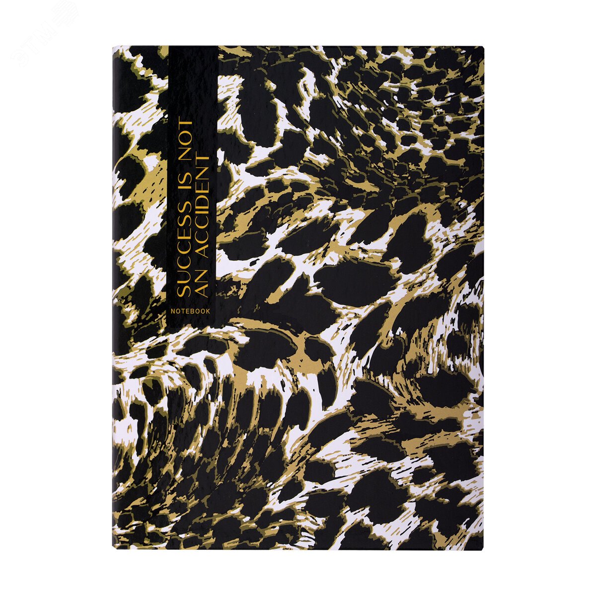 Изображение товара Тетрадь на кольцах BRAUBERG Cloudy А5 120л клетка твердая обложка