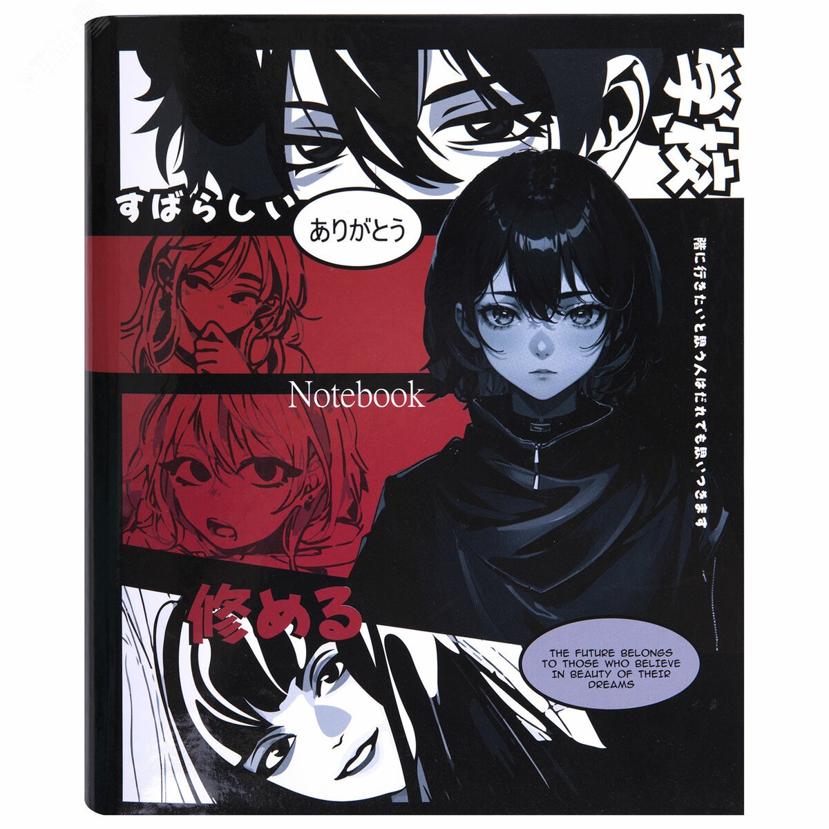 Изображение товара Тетрадь на кольцах А5 BRAUBERG 120л клетка 404715