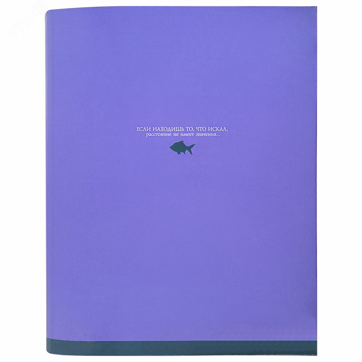 Изображение товара Тетрадь на кольцах А5 175х215мм, 120л, твердый картон, клетка, BRAUBERG, Monocolor, 404716 (шт)