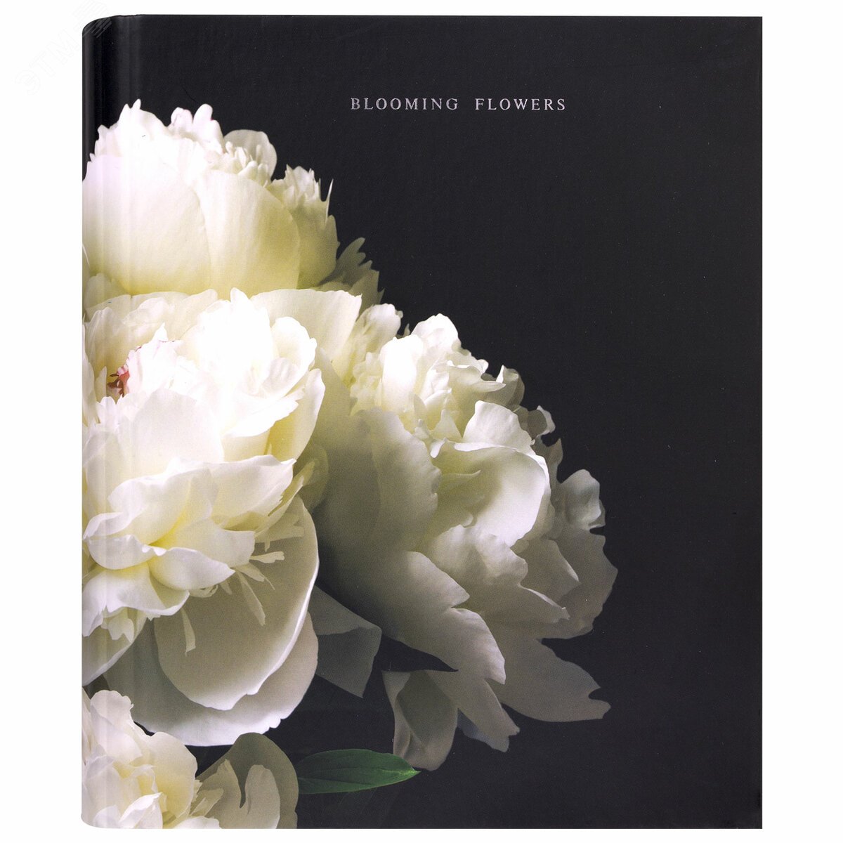 Изображение товара Тетрадь на кольцах А5 175х215мм, 120л, твердый картон, фольга, клетка, BRAUBERG, Bloom, 404721 (шт)