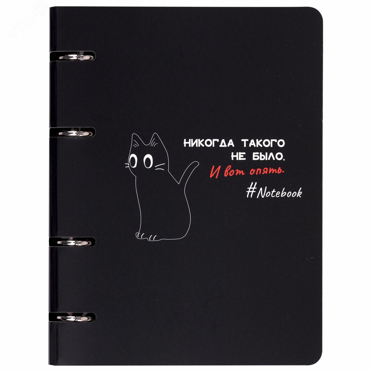 Изображение товара Тетрадь на кольцах А5 160х212мм, 120л, картон, матовая ламинация, клетка, BRAUBERG,Просто Кот,404723 (шт)