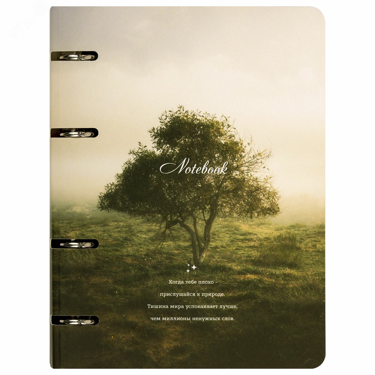 Изображение товара Тетрадь на кольцах А5 160х212мм, 120л, картон, матовая ламинация, клетка, BRAUBERG, Nature, 404728 (шт)