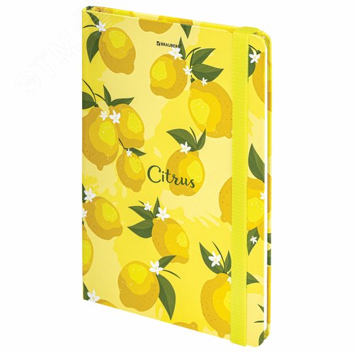 Изображение товара Блокнот с резинкой без линовки 96л, А5 145 х 203, твердая обложка, Lemons (шт)