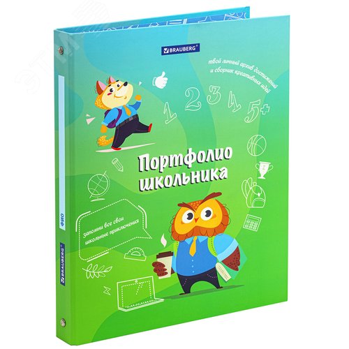 Изображение товара Папка-портфолио школьника, 4 кольца, 20 файлов 10 вкладышей, 7БЦ матовая, BRAUBERG, ОТЛИЧНИК (шт)